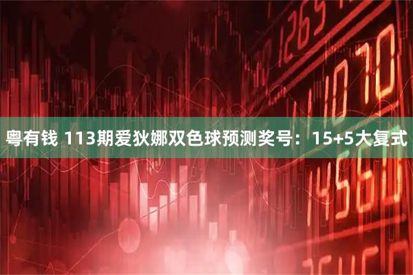 粤有钱 113期爱狄娜双色球预测奖号：15+5大复式