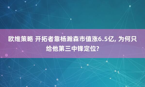 欧维策略 开拓者靠杨瀚森市值涨6.5亿, 为何只给他第三中锋定位?